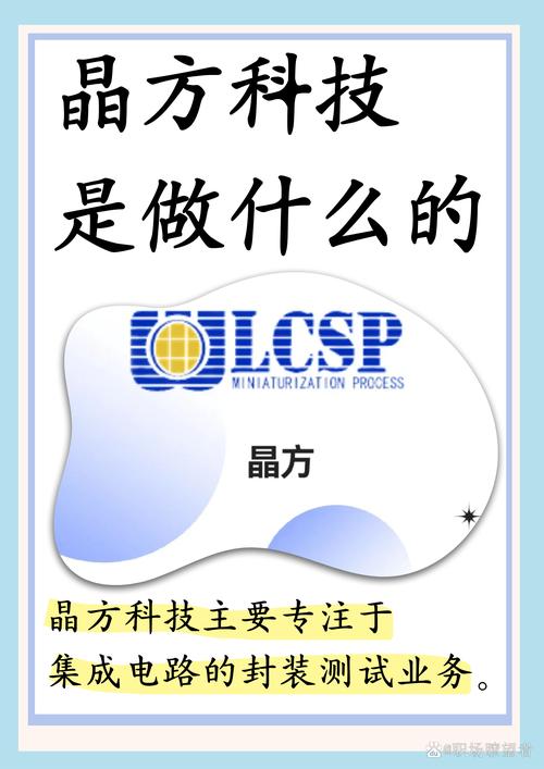 它封装的产品那可多了去啦,像影像传感器芯片,生物身份识别芯片,微